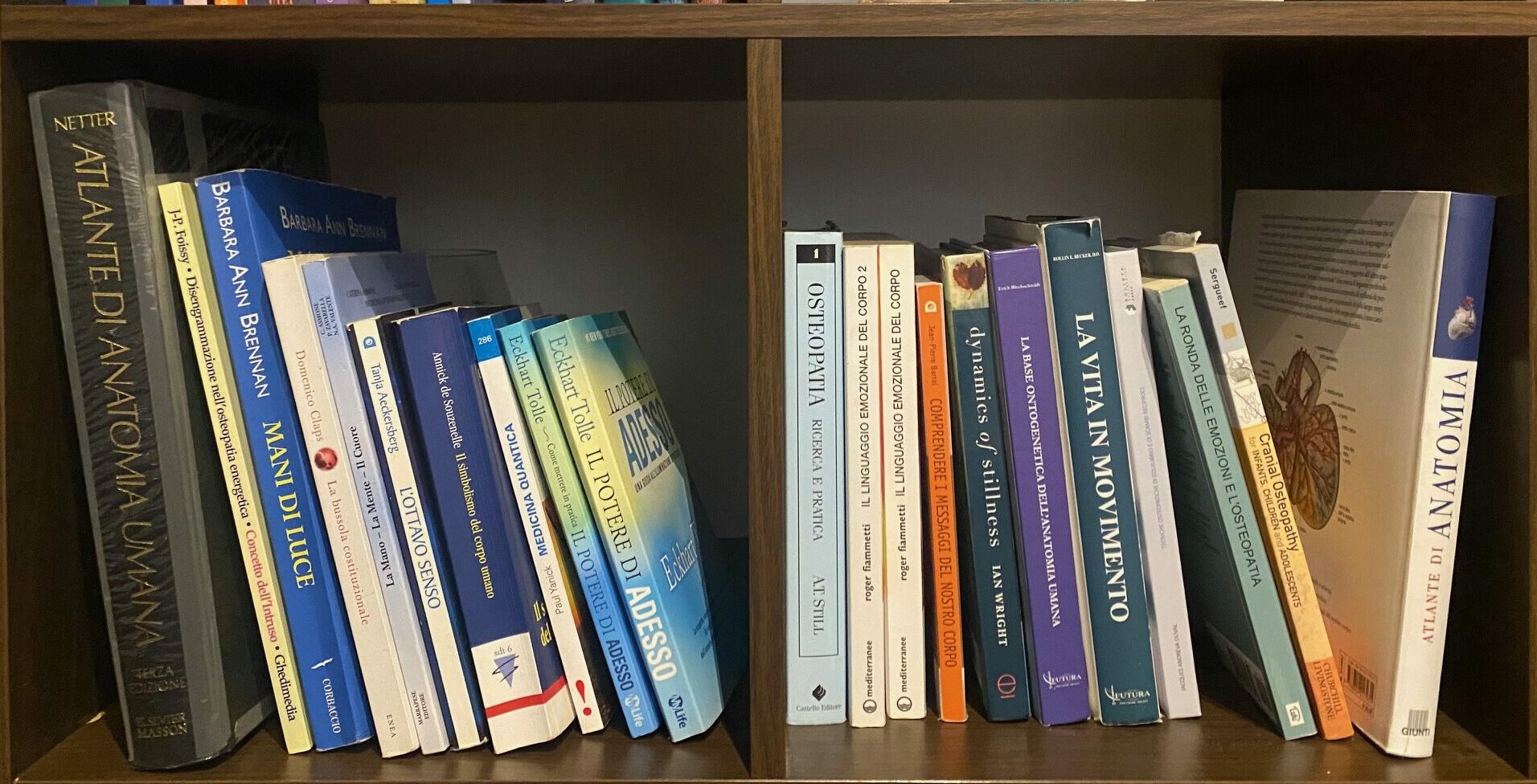 Bibliografia Osteopatia